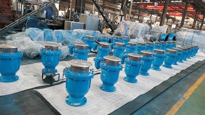 Twt Factory Supply Ggg50 DN200 Pn10  Air Release Valve (3).jpg