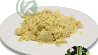 Aloe Vera Leaf Extract Aloin Powder01.jpg
