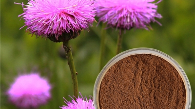 Milk Thistle.jpg