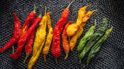 Ultimate Guide to Choosing the Best Air Fryer Liner for Perfect Cooking Results