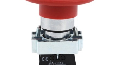 Mushroom Head Push Button Switch (1).JPG