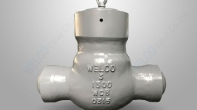 PSC swing  check valve.jpg