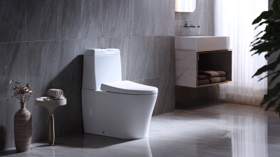 How to Choose the Best Compact One Piece Toilet for Your Bathroom