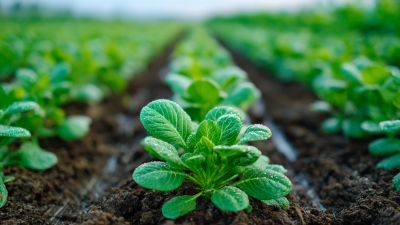 The Future of Plant Nutrition: Innovations in Fertilizer Technology
