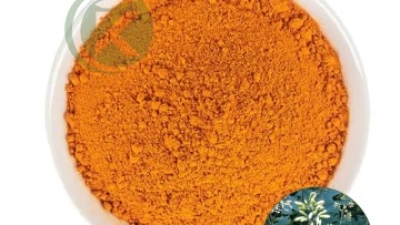 Macleaya Cordata Extract Powder.jpg