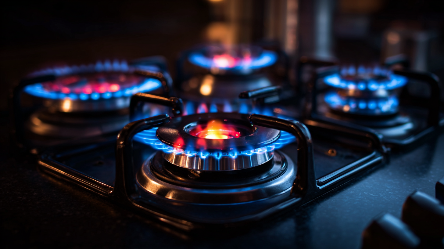 How to Choose the Best Burner Gas Stove for Your Cooking Needs