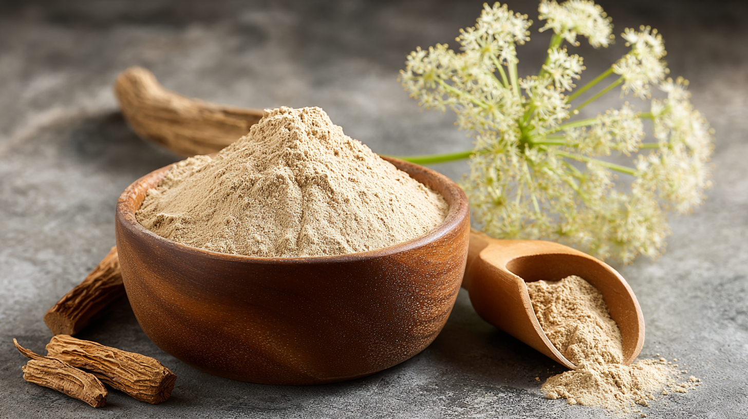 5 Essential Tips for Maximizing the Benefits of Angelica Extract Powder in Your Wellness Routine