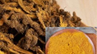 98%-Berberine.jpg