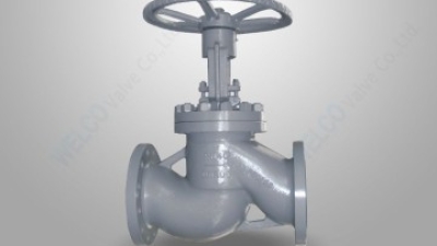 1-DIN standard globe valve 未上.jpg