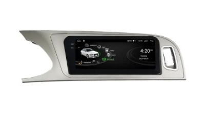 for-audi-picture-2.jpg