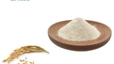 Wheat-Oligopeptide-Powder.jpg