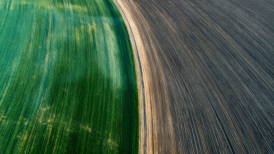 Mastering Phosphorus Fertilizer Application Techniques for Maximum Crop Yield