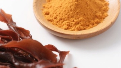 Natural Brown Seaweed Fucoxanthin Powder 2.jpg