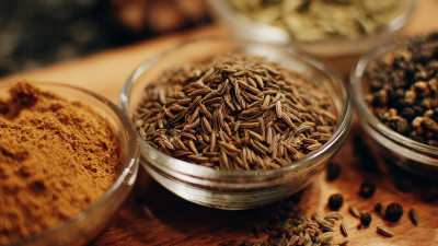 Innovative Solutions for Enhancing Culinary Delights with Cumin Seeds