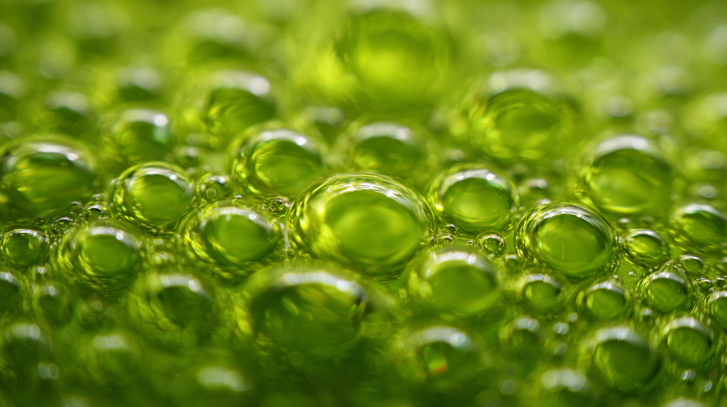 7 Essential Benefits of Using Fine Bubble Tube Diffuser for Global Buyers