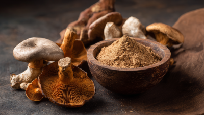 How to Source High Quality Agaricus Blazei Murill Extract for Your Business Needs