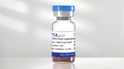 603-英文 CD3 CD28 Separation.jpg