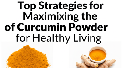 Top Strategies for Maximizing the Benefits of Curcumin Powder