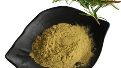 Carnosic-Acid-powder1.jpg