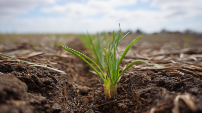 Unlocking the Advantages of Dap Fert for Enhanced Crop Growth and Soil Health