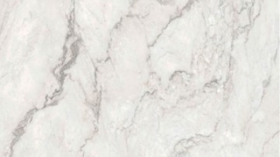 VIENNA LIGHT GREY STONE Look Sintered Slab (1).jpg