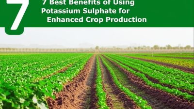 7 Best Benefits of Using Potassium Sulphate for Enhanced Crop Production