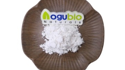aogubio Deoxyarbutin powder (2).jpg