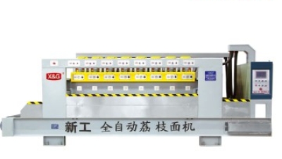 Automatic Lichi Surface Polishing Machine.jpg