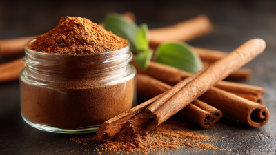How to Source High-Quality Ground Cinnamon for Your Business Needs