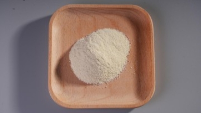 Lactobacillus plantarum.jpg