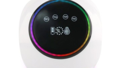 SN484 (1).jpg