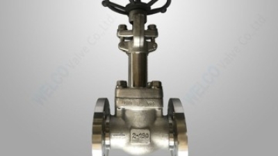Cryogenic service forged globe valve.jpg