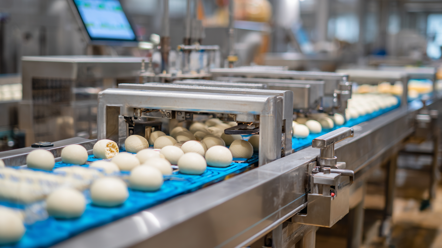 How to Optimize Your Fish Ball Production Line for Maximum Efficiency