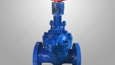 A217 C12 wedge gate valve.jpg