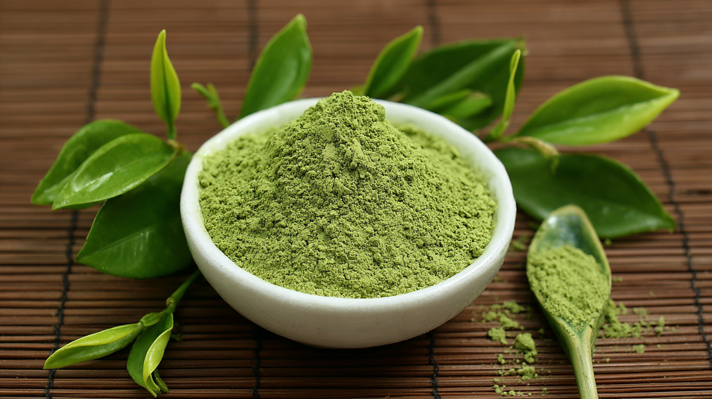 Unveiling the Secrets of Green Tea Extract Powder and Its Benefits