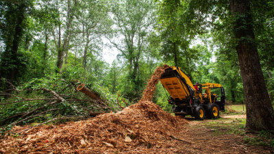 How to Choose the Right Titan Wood Chipper for Your Landscaping Needs