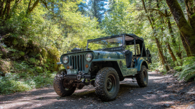 How to Maximize Your Adventure with a Moke Jeep Experience