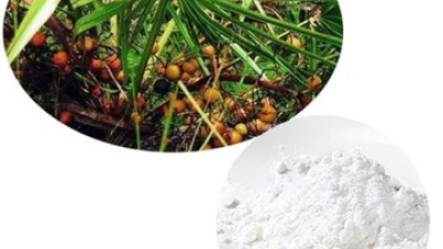 Saw-Palmetto-Fruit-Extract--Fatty-Acid.jpg