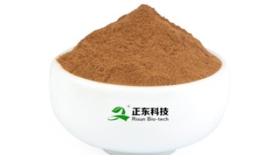 Grape Seed Extract.jpg
