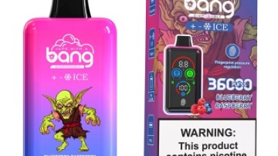 cheapest vaper