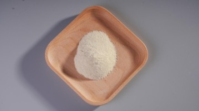 Bifidobacterium longum subsp. longum.jpg