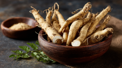 How to Harness the Benefits of Stephania Tetrandra Root Extract for Wellness