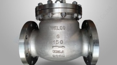 Super duplex steel swing check valve.jpg
