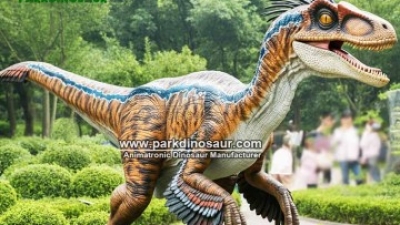 realistic feathered Velociraptor life size dinosaur model-01.jpg