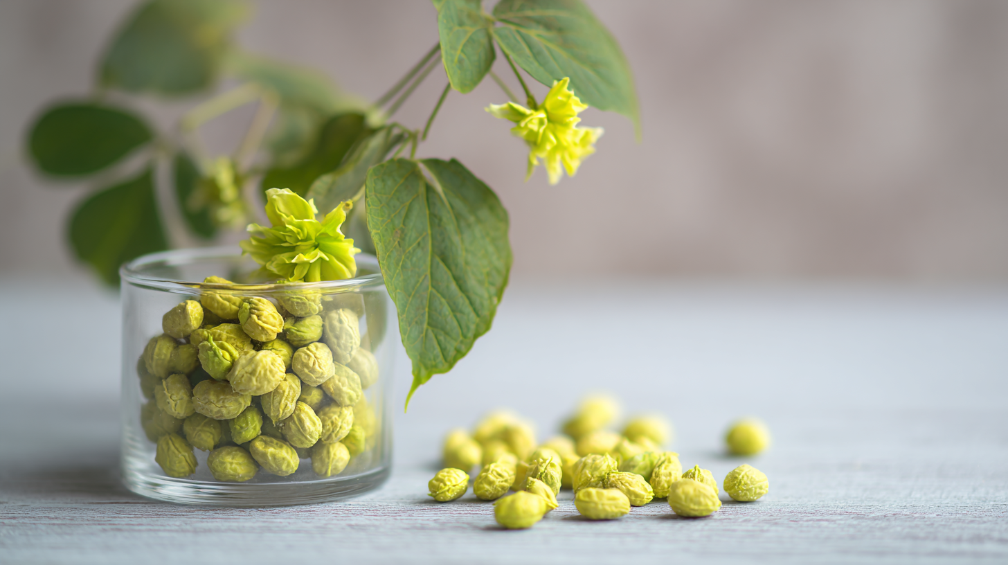 How to Unlock the Health Advantages of Genistein for Your Wellness Routine