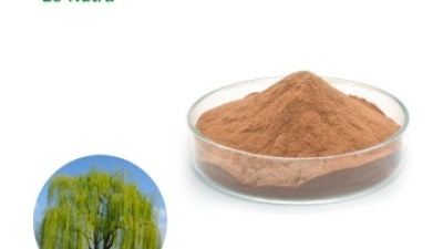 High-Quality-Bulk-White-Willow-Bark-Extract-Salicin-Powder-for-Skin.jpg
