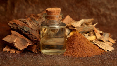Why Bark Extract is Essential for Natural Health Solutions