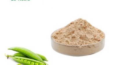 Pea-Protein-Powder.jpg
