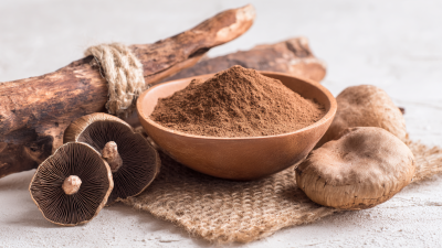 7 Incredible Benefits of Phellinus Linteus Extract Powder You Should Know