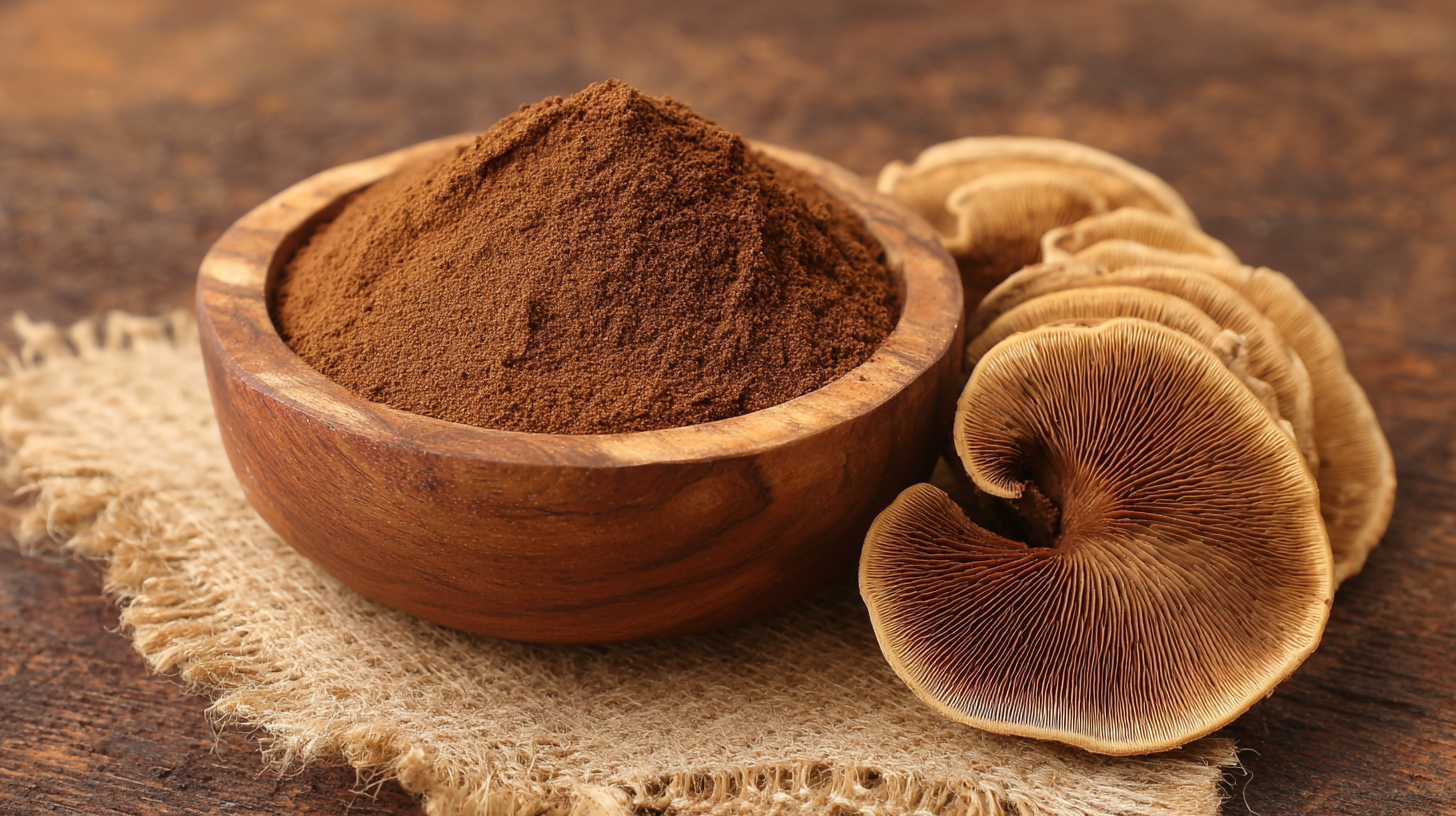 7 Incredible Benefits of Phellinus Linteus Extract Powder You Should Know